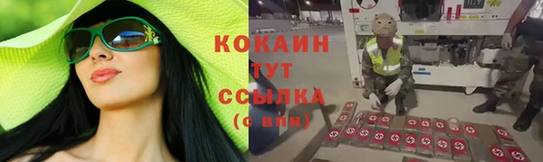 сатива Алексин